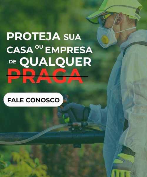 produtos case do primo